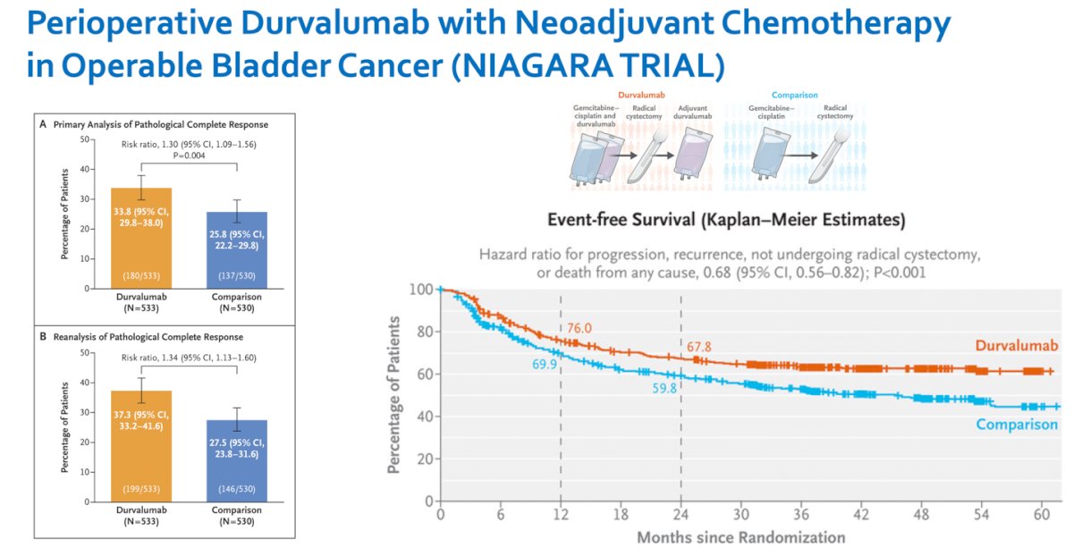 Moreover, Dr. Bochner briefly discussed the perioperative NIAGARA trial, which evaluated durvalumab combined with chemotherapy in the perioperative setting. The pathological complete response (pCR) rate was 37%, and he noted that as more effective upfront systemic therapies are developed, there may be an increasing number of candidates for bladder preservation.
