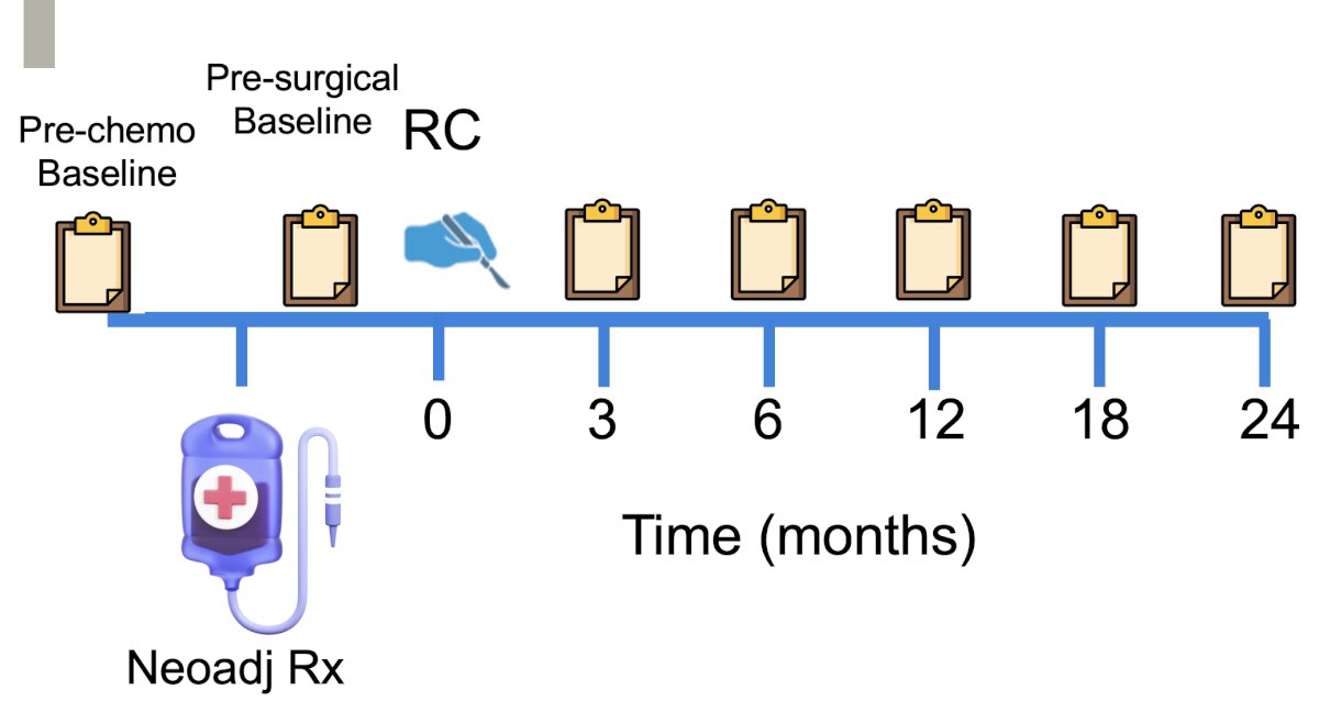  The choice of urinary diversion was made per standard of care. Patient-reported QOL was assessed at multiple time points, beginning with pre-chemotherapy baseline and pre-surgical baseline, followed by serial measurements at 3, 6, 12, 18, and 24 months after surgery. 