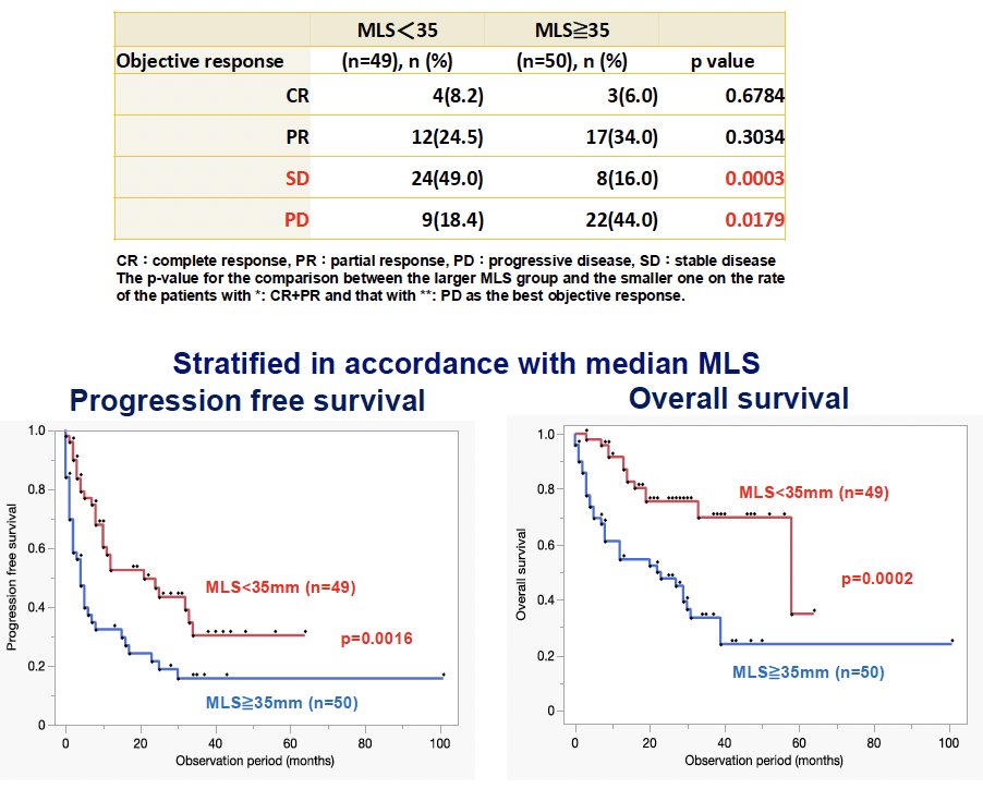 The ORR was 40% in the MLS large group and 32.7% in the MLS small group (p=0.43). However, progression-free and overall survivals were significantly worse in the MLS large group (p=0.0016 and p=0.0002, respectively).