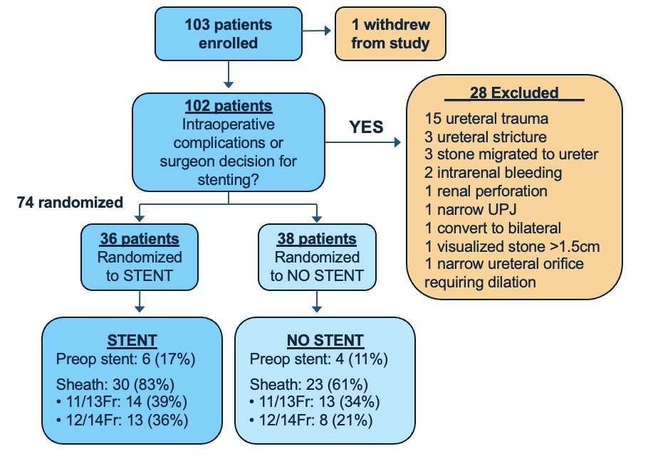 Of the 103 patients initially enrolled, 74 patients were included and randomized after 1 patient withdrew from the study, and 28 were excluded intraoperatively. 36 patients were randomized to the stent cohort and 38 to the no-stent cohort. Dr. Bechis noted that 60-80% of patients included had a ureteral access sheath deployed during their operation as a unique finding.