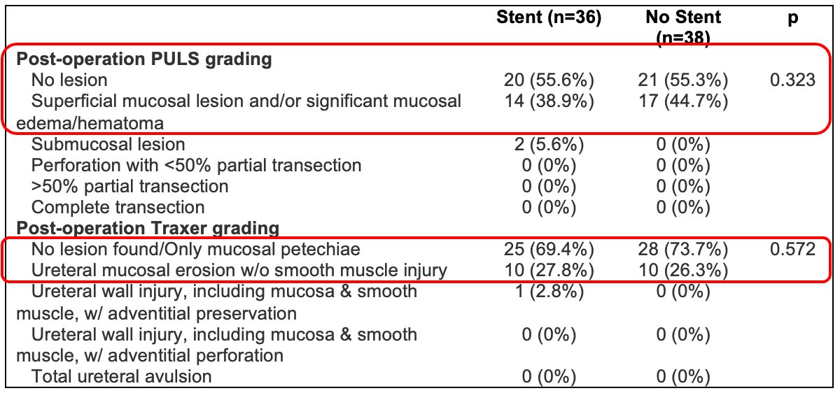 Interestingly, Dr. Bechis and his team noticed that superficial mucosal lesions in the ureter were found after ureteroscopy. Using the PULS grading index, this was seen in approximately 40% of patients.