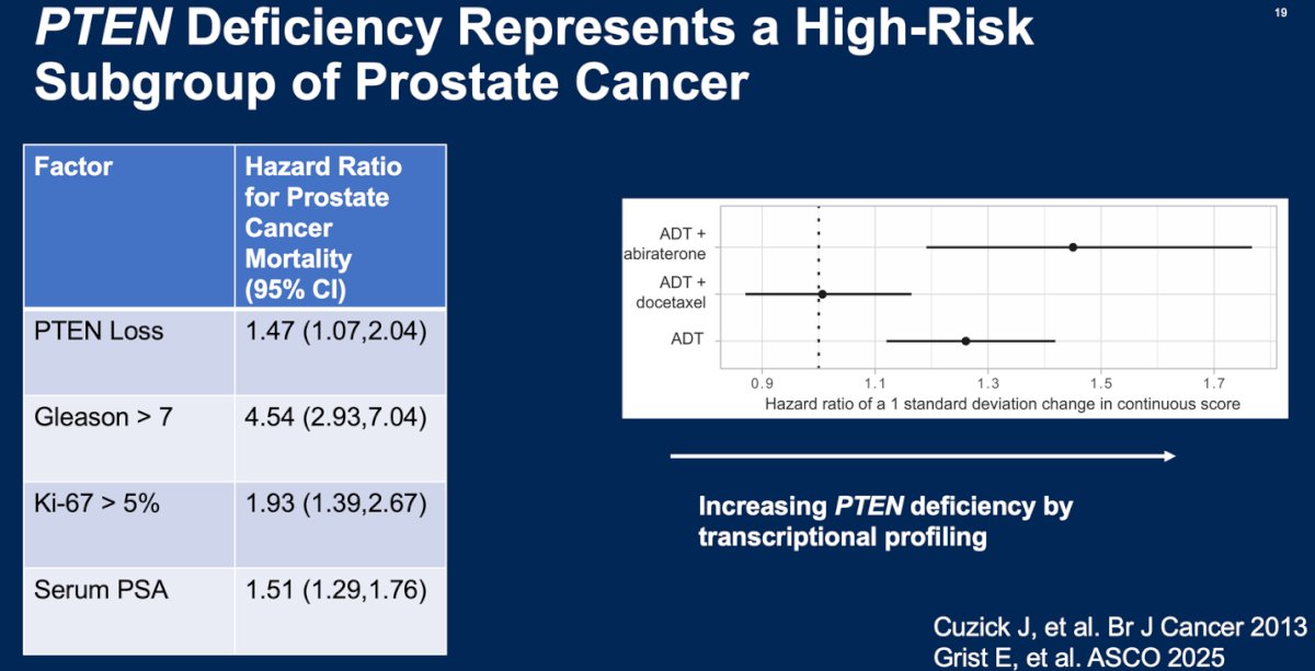 PTEN deficiency has emerged as a key biomarker identifying a high-risk subgroup within prostate cancer. Loss of PTEN function has been linked to worse clinical outcomes, with data suggesting an increased hazard of prostate cancer-specific mortality (HR 1.47; 95% CI, 1.07–2.04). Beyond genomic deletions, transcriptional profiling has provided additional evidence of PTEN deficiency at the transcriptome level, further refining patient stratification. Importantly, recent data suggest that PTEN loss may also have predictive implications particularly regarding enhanced sensitivity to docetaxel in the mCSPC setting raising the potential for biomarker-driven treatment intensification.&nbsp;