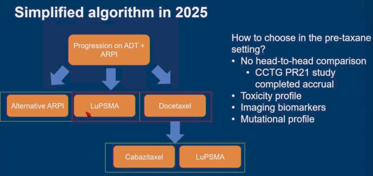 Dr. Raychaudhuri presented a simplified treatment algorithm in 2025 to guide decision-making in the pre-taxane setting for mCRPC. However, several important questions remain unresolved, including how best to choose therapy in the absence of head-to-head comparisons. The CCTG PR21 study a Canadian study, which has completed accrual, may help inform future guidance. Additional considerations include treatment-related toxicity profiles, imaging biomarkers, and the role of tumor mutational profiling in guiding patient selection.