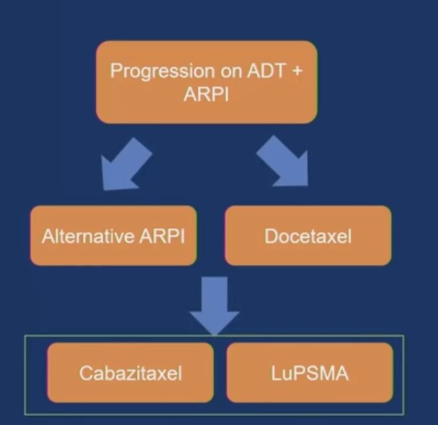Dr. Raychaudhuri presented a simplified treatment algorithm in 2024 to help guide decision-making in the post-taxane setting for metastatic prostate cancer. A key consideration in this space is toxicity profile, as many patients prefer to delay or avoid further chemotherapy if feasible. Biomarkers and imaging eligibility play a critical role in treatment selection specifically, whether patients meet criteria similar to those used in the VISION and TheraP trials. These include PSMA PET positivity and, in the case of TheraP, exclusion of discordant FDG-positive/PSMA-negative disease.1,2&nbsp;