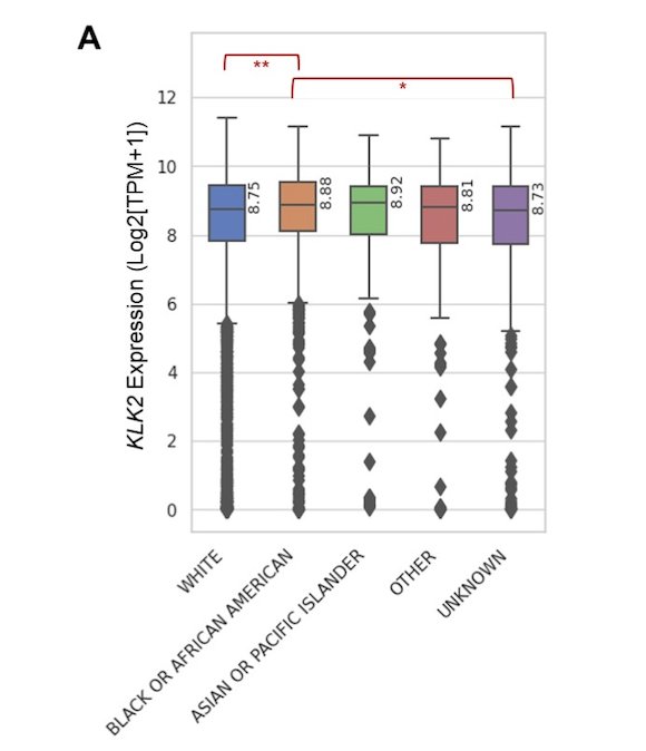 Higher KLK2 was observed in tumors from Black versus White patients (8.88 versus 8.75 log2[TPM+1], p < 0.001):