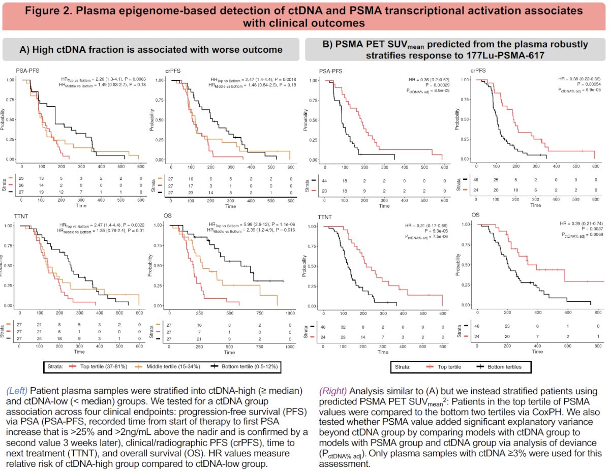 These findings suggest that transcriptionally active PSMA, as inferred from plasma, captures biologically relevant treatment susceptibility.