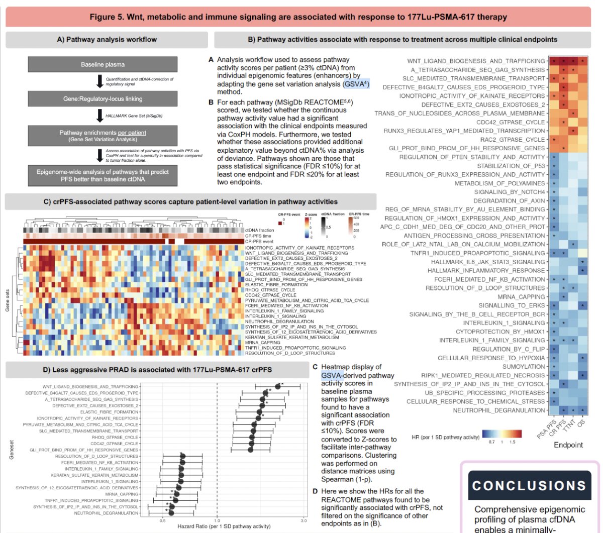 Pathway activities stratified patients across crPFS and TTNT endpoints and remained significant after adjusting for ctDNA fraction.&nbsp;