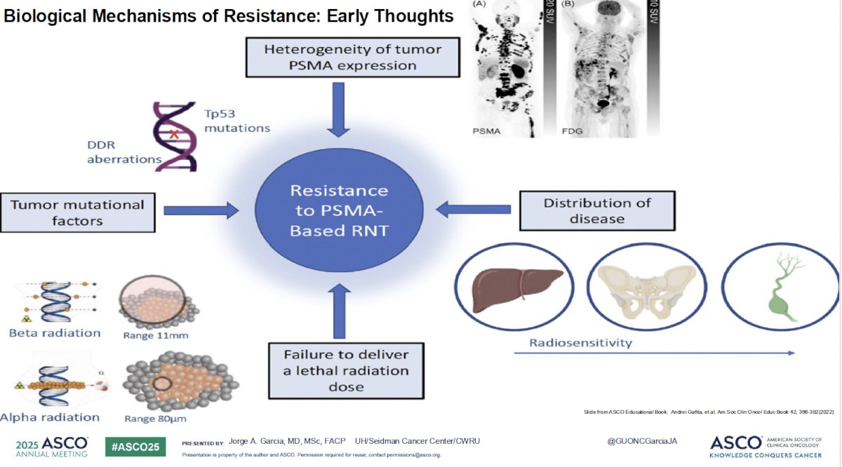 What about biologic mechanisms of resistance? Numerous factors have been correlated with resistance to PSMA-based radioligand therapy:
