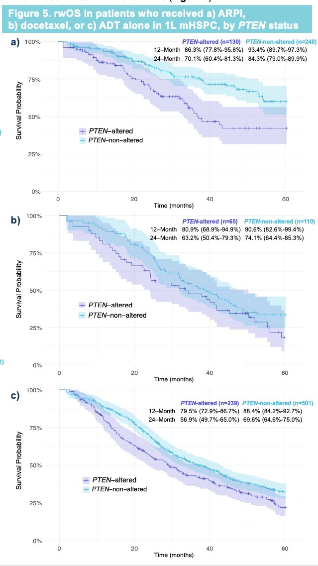 Patients with PTEN-altered tumors treated with an ARPI, docetaxel, or ADT alone in the 1st line mHSPC setting appeared to have worse rwOS than those without PTEN alterations.