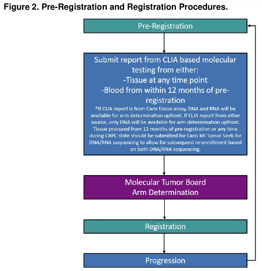 The study includes a pre-registration step for arm determination by the molecular tumor board.