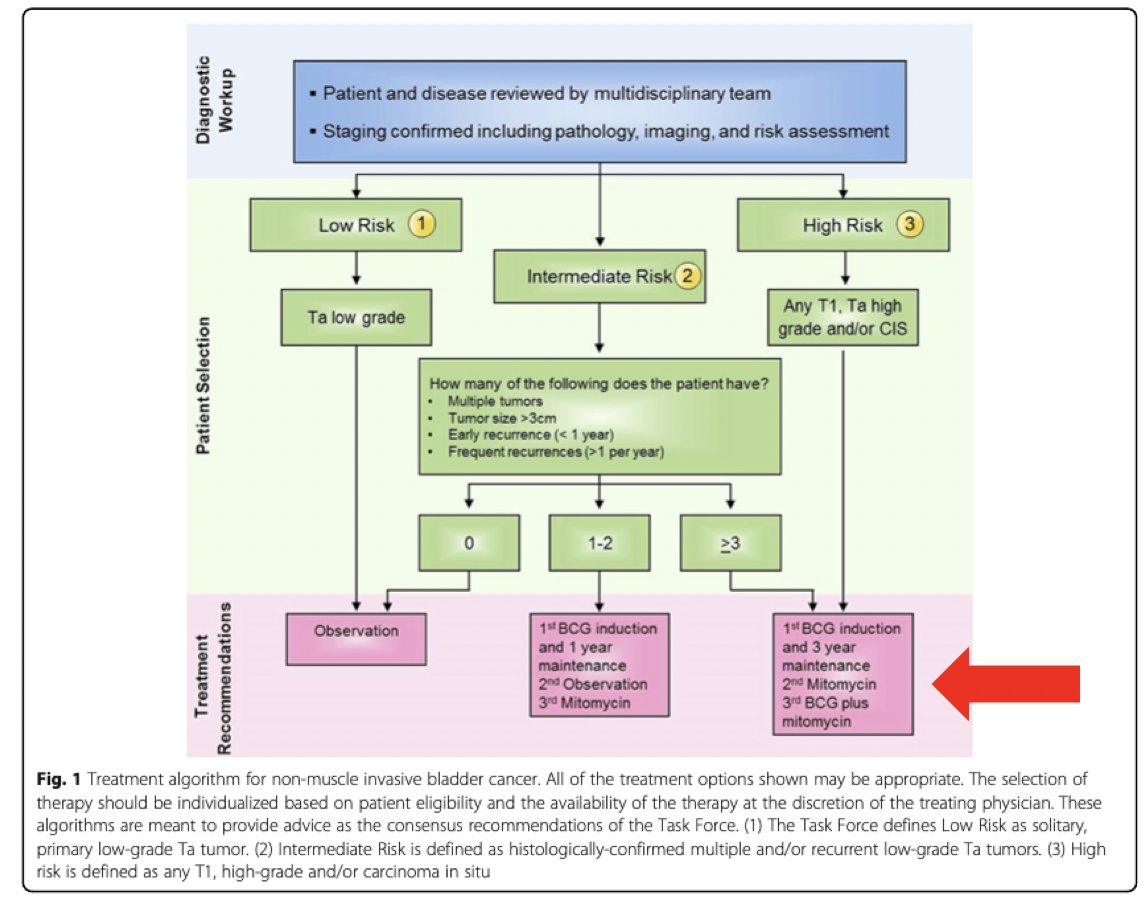 Dr. Sfakianos then discussed the ANZUP 1301 mitomycin + BCG phase 3 randomized trial. He notes that for high risk patients, mitomycin + BCG is already listed as a third option for treatment: