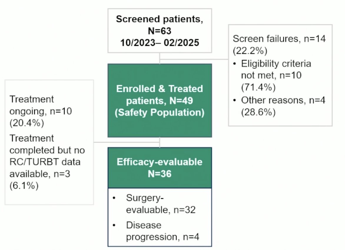 From October 2023 to February 2025, 49 patients were treated and 36 were efficacy evaluable: