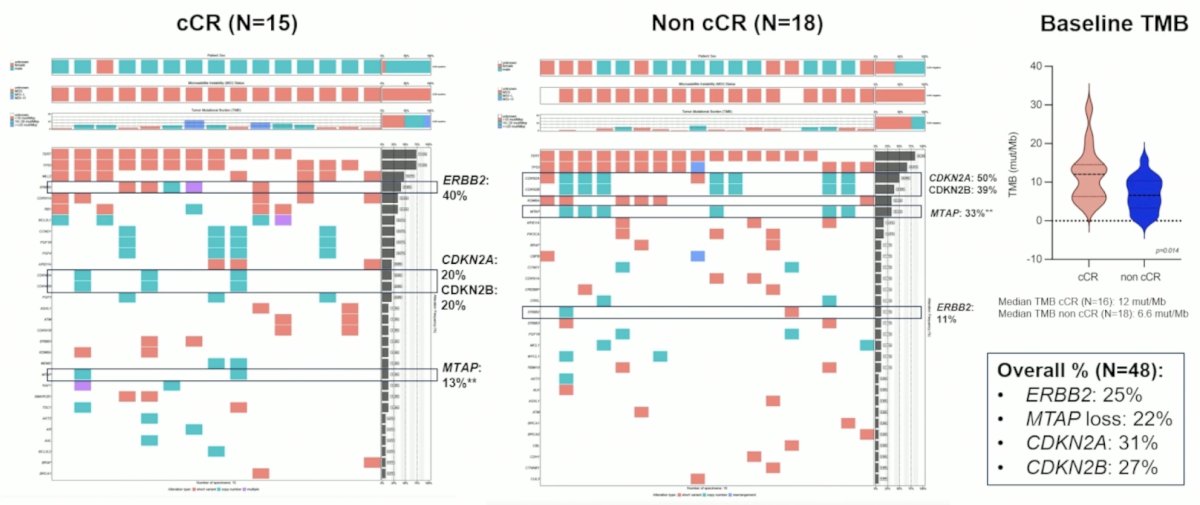 Over a median follow-up of 10 months (IQR 7.3-13), the 12 month event free survival rate was 71.3% (95% CI 55.7-91.2), the 12 month metastasis free survival rate was 84.2% (95% CI 72-98.5), the 12 month bladder intact event free survival in patients with a clinical complete response was 100%, and the 12 month bladder intact event free survival in re-TURBT patients (n = 23) was 74% (95% CI 54.8 – 99). The landscape of genomic alterations in baseline TURBT samples in clinical complete response versus non clinical complete response patients is as follows