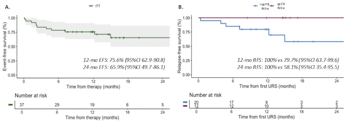 The 12- and 24-months EFS rates were 76% and 66%, respectively. None of the patients with ypT0N0-x disease experienced a qualifying event during follow-up