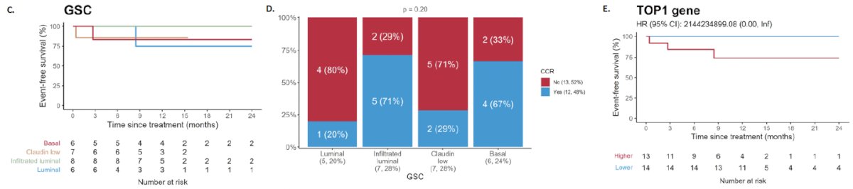 Lower (<&nbsp;median)&nbsp;TOP1&nbsp;gene expression (N&nbsp;=&nbsp;14) was associated with a 100% 12 months RFS rate (log-rank, p=0.05). Trop-2 gene expression was not associated with either the pathologic response rate (p=0.69) or RFS.&nbsp;