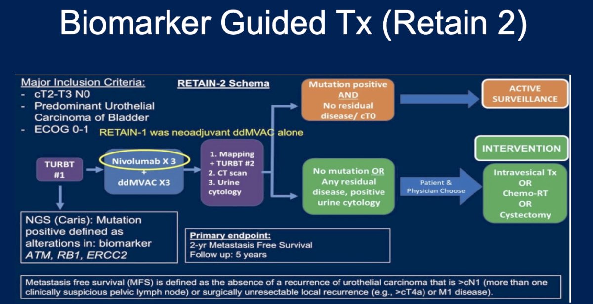 Patients with both a positive biomarker profile and no residual disease (cT0) are offered active surveillance. Those with residual disease, positive cytology, or without the relevant mutations are directed to standard intervention, including intravesical therapy, chemo-radiation, or cystectomy. The primary endpoint is 2-year metastasis-free survival, with 5 years of follow-up.