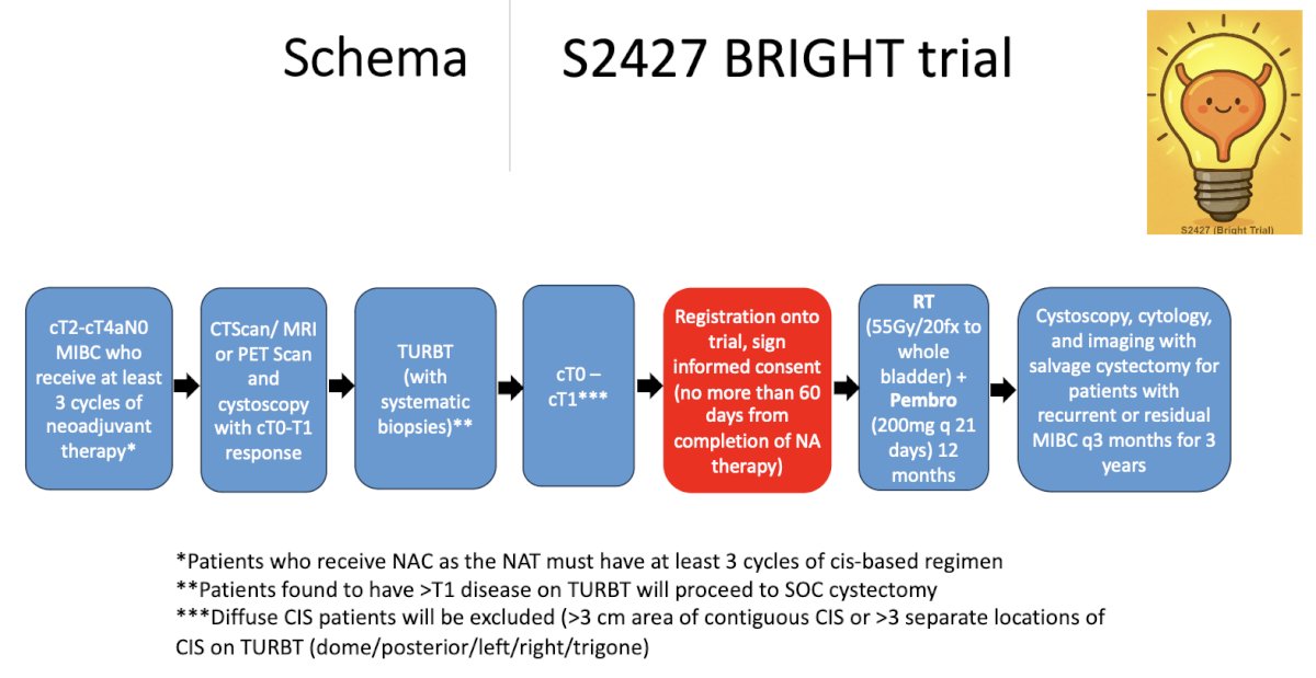 After confirming response via imaging and TURBT with systematic biopsies, eligible patients are enrolled within 60 days of completing neoadjuvant therapy. They then receive bladder-directed radiation (55 Gy in 20 fractions) combined with pembrolizumab for 12 months. The study schema is shown below.&nbsp;