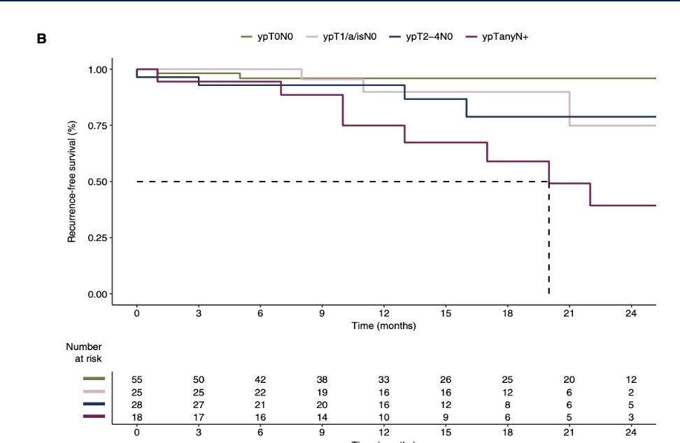 The PURE-01 trial demonstrated a complete pathological response ypT0 rate of 42% (95% CI, 28.2% to 56.8%). Notably, patients achieving ypT0N0 after cystectomy experienced the most favorable survival outcomes as illustrated below.