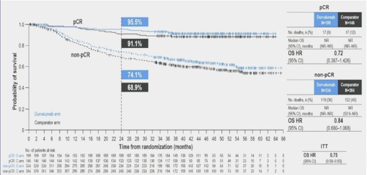 Similarly, pathological downstaging to ypT0 with NAC/ICI in the NIAGARA study was associated with significantly improved overall survival. Patients who achieved a pathological complete response (pCR) had better OS outcomes compared to those who did not, in both the treatment and comparator arms.