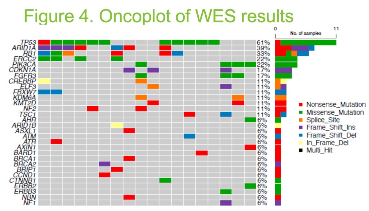 Dr. Raizenne noted that whole-exome sequencing analysis of 18 patients revealed TP53 (61%), ARID1A (39%), and RB1 (33%) as the most frequently mutated genes. Additionally, 11 patients (61%) had alterations in DNA damage repair genes, including BRCA1, BRCA2, ATM, and ERCC2 as illustrated below.