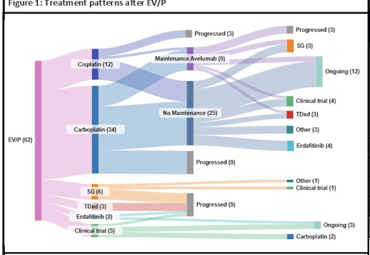 Median follow up was 9.5 months. At the time of the analysis, 15 patients did not progress on second line treatment. In 74% of these cases (n=46), the initial post-EV+P regimen was platinum-based chemotherapy. Other post-EV/P therapies included sacituzumab govitecan (n=6), enrollment in clinical trials (n=5), trastuzumab deruxtecan (n=3), erdafitinib (n=2). Post-EV+P treatment patterns are shown below.