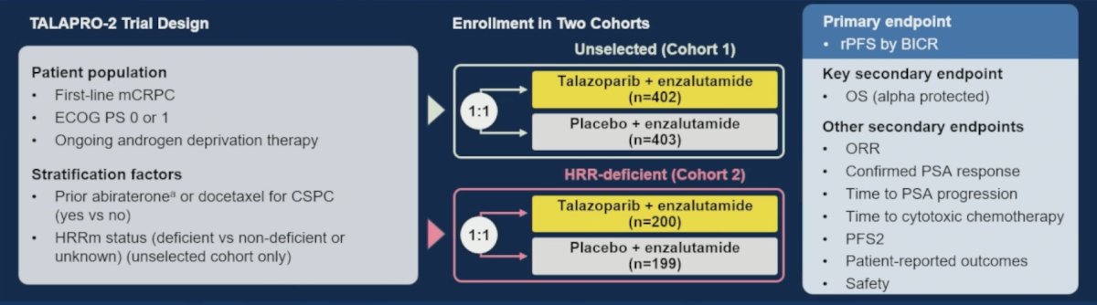 Patients were randomized 1:1 to talazoparib 0.5 mg (n = 200) or placebo (n = 199) + enzalutamide 160 mg QD: