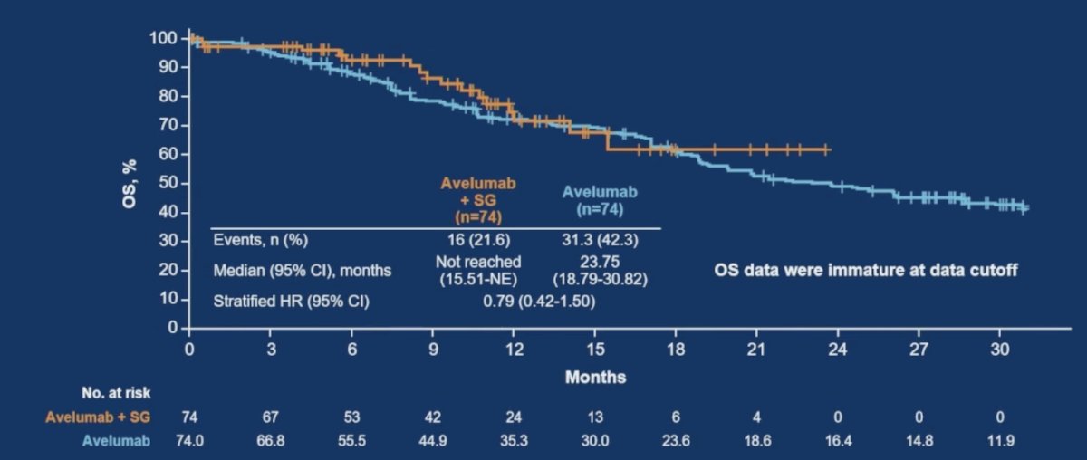Overall survival data were immature at cutoff, with a median overall survival that was not reached (95% CI, 15.51-not estimable) in the avelumab + sacituzumab govitecan arm versus 23.75 months (95% CI, 18.79-30.82) in the avelumab monotherapy arm (HR 0.79, 95% CI, 0.42-1.50):