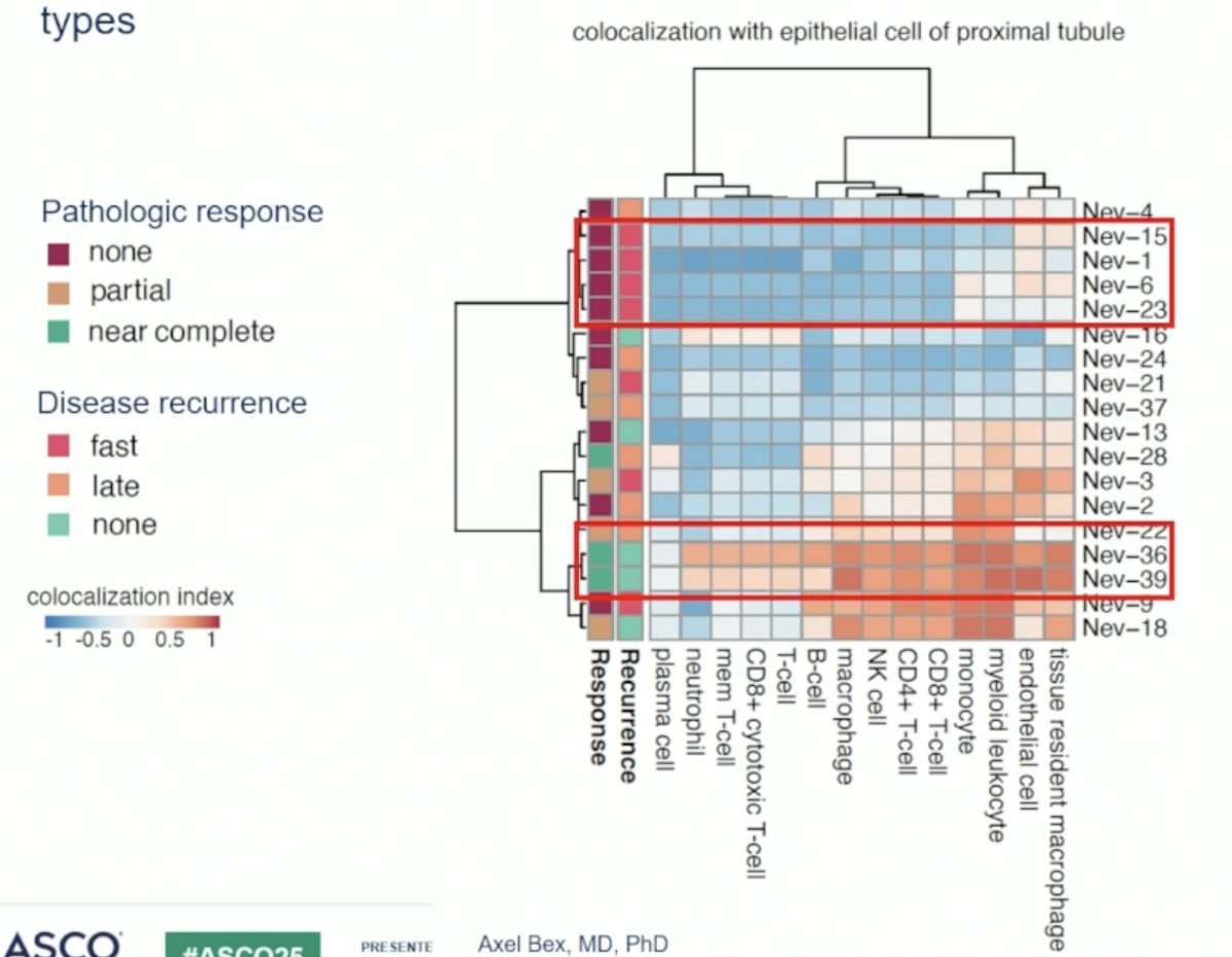 Spatial co-localization analysis of proximal tubule epithelial cells and immune cell types demonstrated: