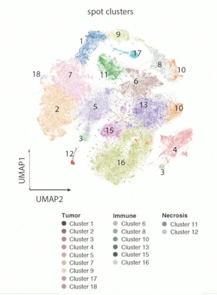 Nine tumor clusters were identified: