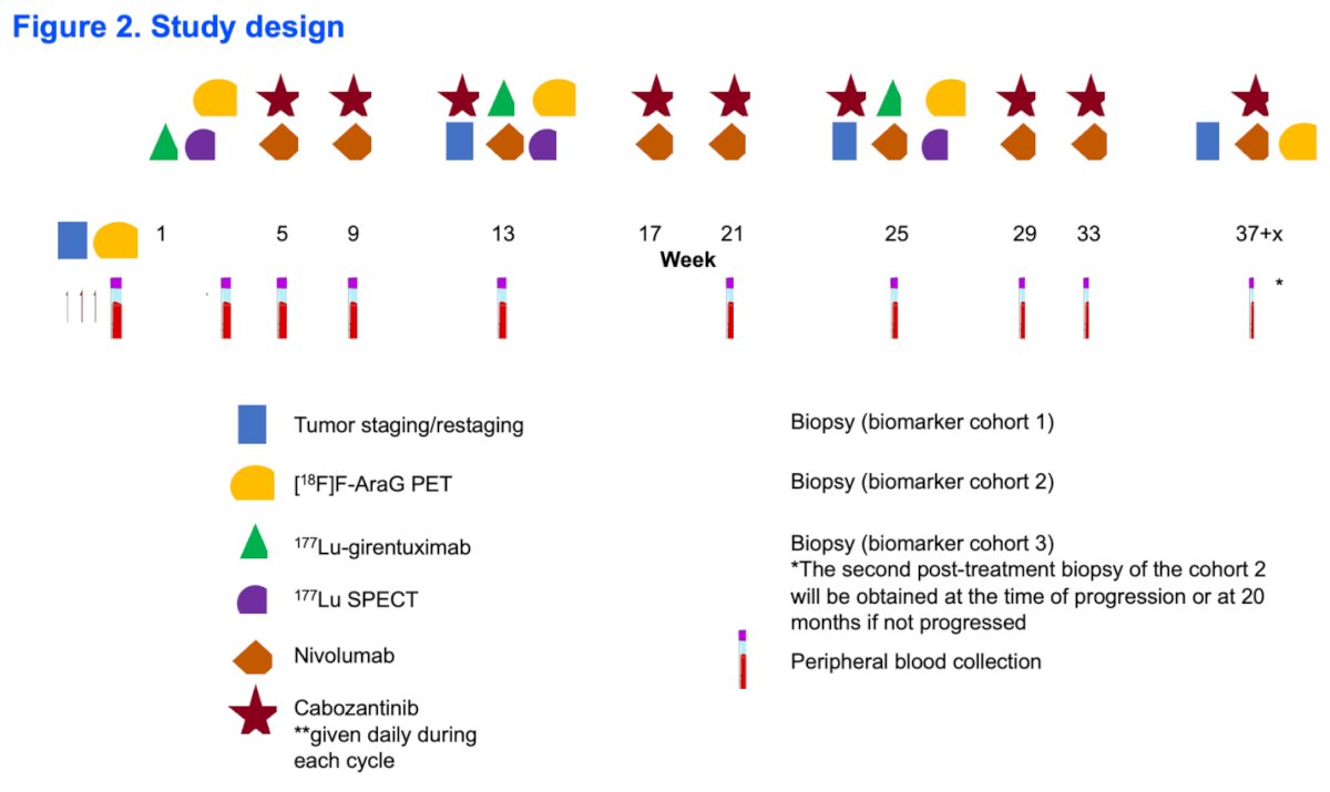 To assess the immunologic impact of the combination regimen, patients will undergo [18F]F-AraG PET imaging to evaluate activated T cell infiltration before and after treatment. Additionally, peripheral blood samples and tumor tissue biopsies will be collected for single-cell analyses, spatial transcriptomics, and proteomics studies. The study design is shown below.