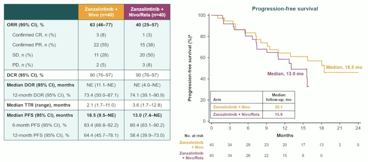 After median follow-up of 16.1 months for zanzalintinib + nivolumab, the objective response rate was 63% (3 complete responses, 22 partial responses), and disease control rate (defined as: complete response + partial response + stable disease) was 90%. The 6- and 12-month progression free survival rates were 83.4% and 64.4%, respectively. After a median follow-up of 11.9 months for zanzalintinib + nivolumab/relatlimab, the objective response rate was 40% (1 complete responses, 15 partial responses) and disease control rate was 90%. The 6- and 12-month progression free survival rates were 80.4% and 58.4%, respectively