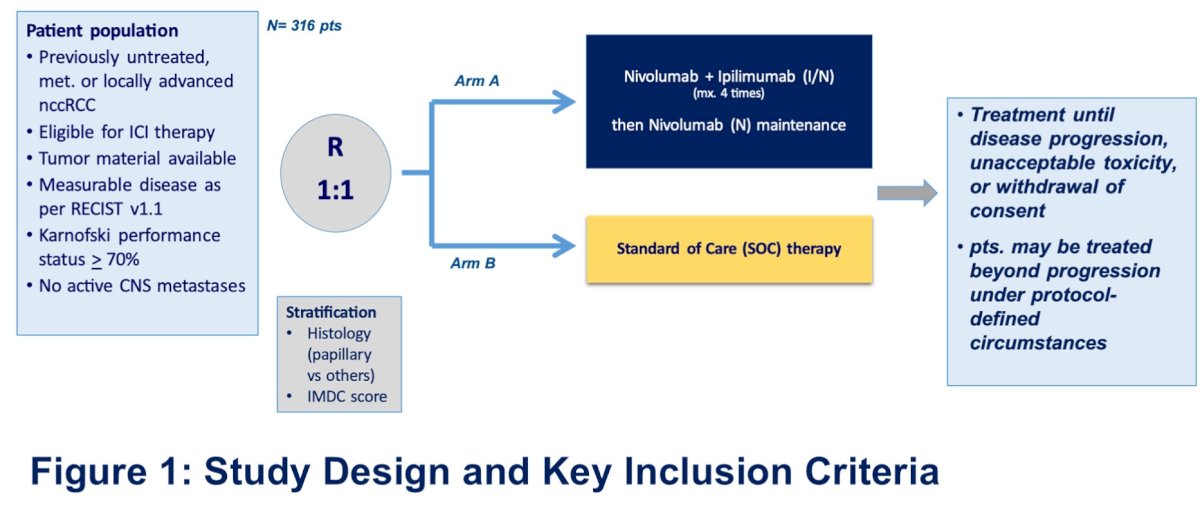 Randomization was stratified by non-ccRCC subtype (papillary versus non-papillary) and by IMDC risk score. Central pathology was mandatory to confirm the correct diagnosis of the non-ccRCC subtype according to the 2022 WHO classification.