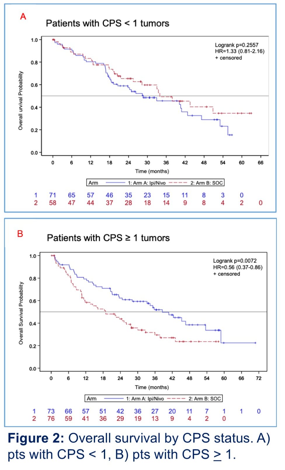 The median OS and response to the study treatments differed by the CPS score. Patients with a CPS≥1 had a 12-months OS rate of 79.3% with IPI+NIVO and 58.3% with standard of care therapy, with median OS of 38.6 and 18.8 months (p=0.007), respectively.