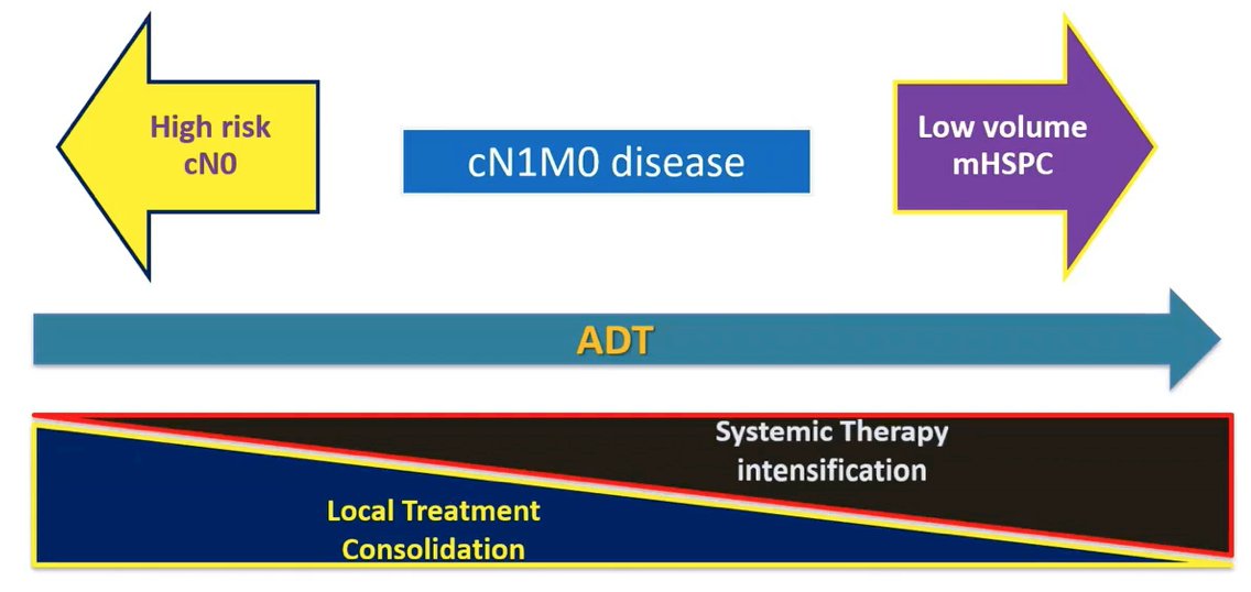Clinical N1 Prostate Cancer-2.jpg