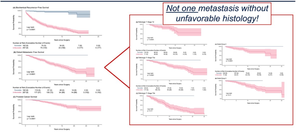 The survival curves clearly demonstrated that patients with “favorable histology” had excellent long-term outcomes, with no cases of metastasis observed in this group. In contrast, unfavorable histology was consistently associated with higher rates of biochemical recurrence, distant metastasis, and prostate cancer–specific mortality, underscoring the importance of integrating histologic patterns not just grade groups into risk stratification and clinical decision-making.7