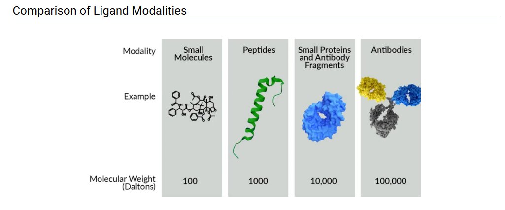 Notably, there are multiple ligand modalities that can be utilized in theranostics, each with distinct structural and pharmacologic properties. These include small molecules (~100 Daltons), peptides (~1,000 Daltons), small proteins and antibody fragments (~10,000 Daltons), and full antibodies (~100,000 Daltons). Their differences in size, molecular weight, and binding characteristics influence factors such as tumor penetration, specificity, circulation half-life, and potential therapeutic applications.