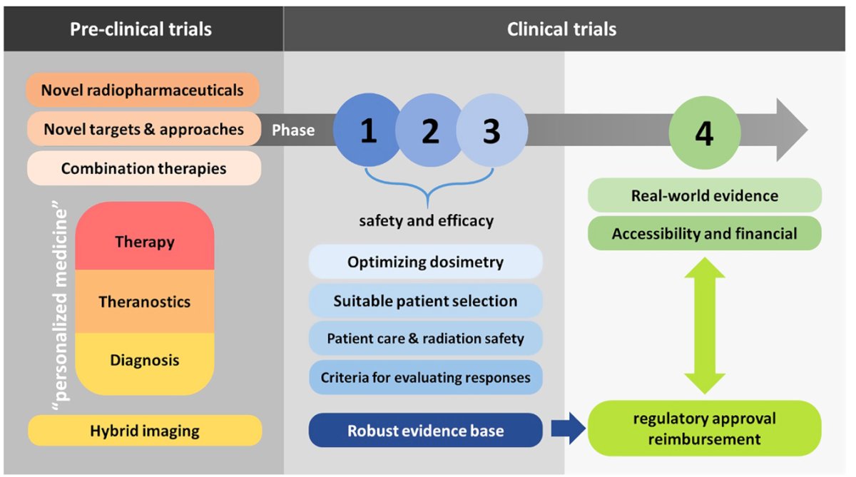 Dr. Granados outlined how the process of bringing theranostics into practice is lengthy, beginning with pre-clinical trials that test novel radiopharmaceuticals, new targets and approaches, and potential combination strategies. Once therapies advance into clinical development, phases 1–3 focus on establishing safety and efficacy, while also refining dosimetry, patient selection, and radiation safety, as well as setting clear criteria for evaluating responses. These steps are essential to build a robust evidence base before moving into phase 4, which emphasizes real-world data, accessibility, and financial considerations. Importantly, regulatory approval and reimbursement decisions depend on this evidence, highlighting why the translation of theranostics into clinical use is a rigorous but necessary process.