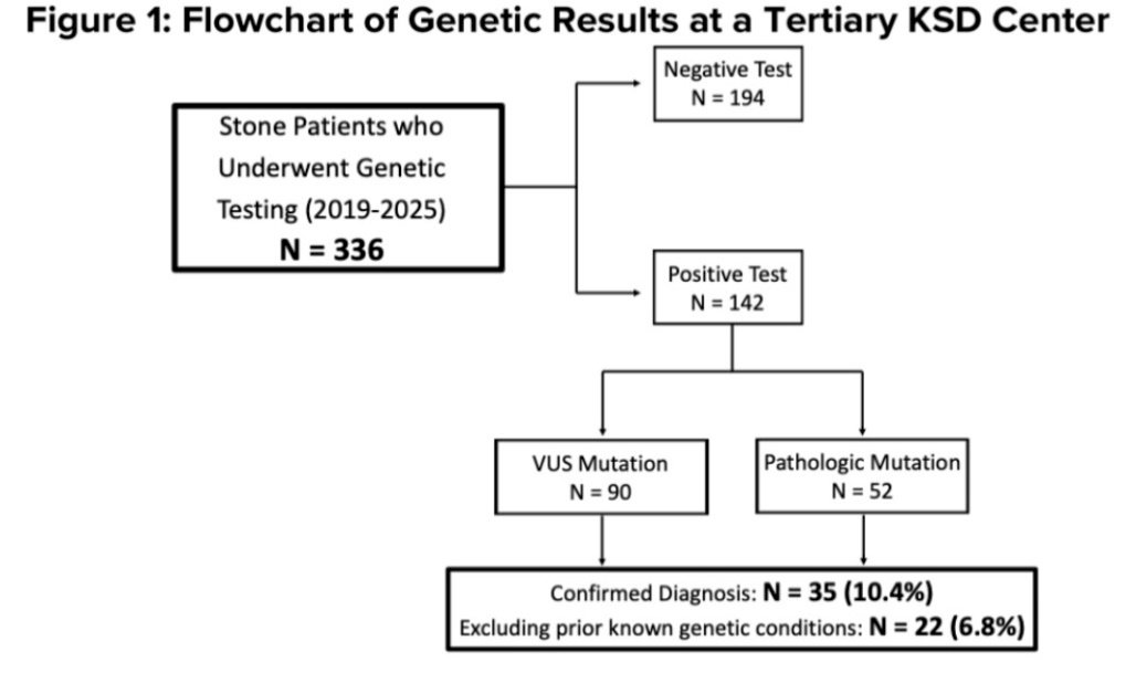 A total of 336 patients were included and grouped by genetic results (142 with mutations vs. 194 with no mutations). Of the 142 patients with positive genetic tests, 90 had variants of unknown significance (VUS), and 52 had at least one pathogenic mutation. A monogenic cause for stone disease was identified in 35 patients, 22 of whom (6.8%) represented new diagnoses, while the remainder had known cystinuria (which was excluded).