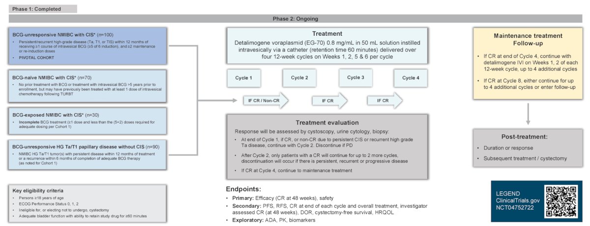 Based on the phase 1 portion of the study, a dose concentration of 0.8 mg/mL was administered at a four-dose 50 mL instillation schedule at study weeks 1, 2, 5 and 6 of a 12-week cycle. After completing the initial 12-week cycle, patients without progressive disease remained on detalimogene voraplasmid for up to three additional 12-week cycles: