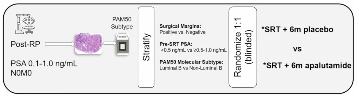 NRG GU006, a phase II biomarker-stratified randomized trial of patients receiving salvage radiotherapy with or without apalutamide, was designed with the hypothesis that transcriptionally defined molecular subtypes would differentially benefit from apalutamide. Patients were enrolled between April 2018 – February 2020 and were required to be post-radical prostatectomy with a PSA 0.1-1.0 ng/mL without evidence of nodal or distant metastasis and randomized to salvage radiotherapy with placebo or apalutamide 240 mg daily for 6 months. Patients were stratified by PAM50 molecular subtype (luminal B versus non-luminal B):