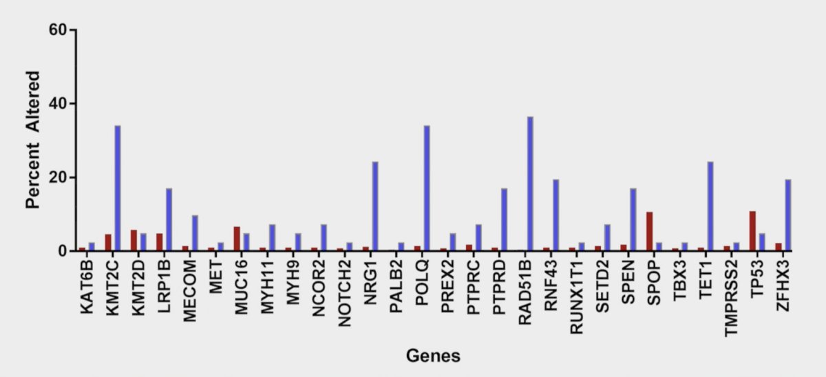The locally radiorecurrent prostate cancer cohort demonstrated enrichment in PI3K pathway alterations compared to treatment naïve prostate cancer within TCGA with alteration frequencies in PTEN of 12% (5/41) versus 3%, [p = 0.005] and PIK3CA of 12% (5/41) versus 2% [p < 0.001]. Other genetic alterations enriched in locally radiorecurrent prostate cancer include BRCA1 of 10% (4/41), PTCH1 of 22% (9/41), MSH3 of 12% (5/41), and STAG2 of 34% (14/41). However, no common genetic alteration was conserved across all samples: 2
