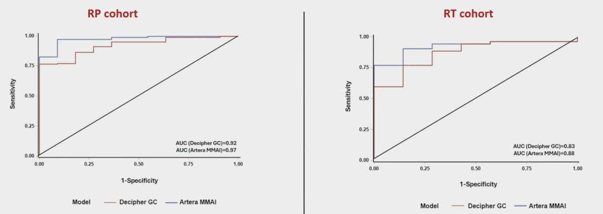 image-4.jpg