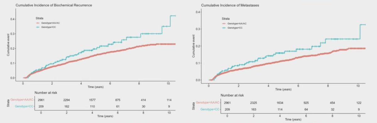 Patients with the homozygous adrenal-permissive genotype demonstrated an increased risk of biochemical recurrence (HR 1.48, 95% CI 1.08-2.05; p = 0.016) and time to metastases (HR 1.43, 95% CI 1.00-2.03; p = 0.05) compared to those with the heterozygous adrenal-permissive/homozygous adrenal-restrictive genotypes:&nbsp;