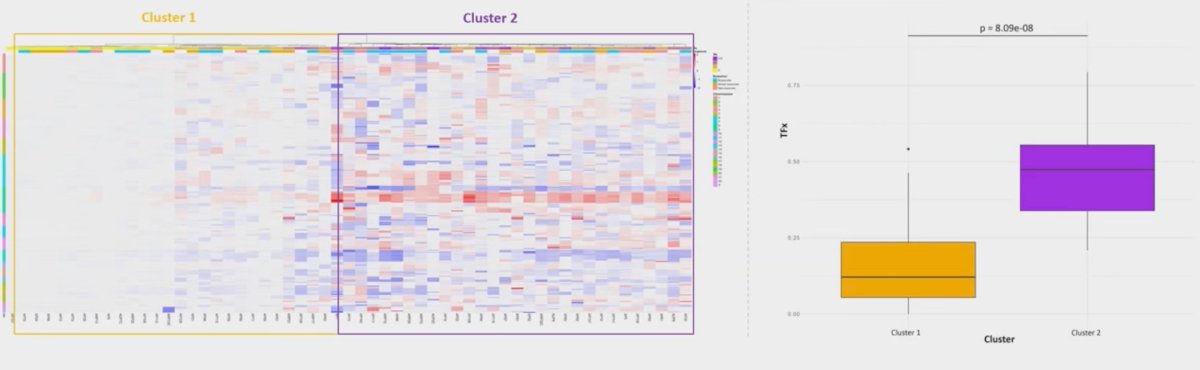 Hierarchical clustering of logR values for copy number alterations across the whole genome identified two distinct patient clusters: Cluster 1, with lower tumor fraction values and a low copy number variant burden, and Cluster 2, with higher tumor fraction values and an increased copy number variant burden (p = 8.09e-08):&nbsp;