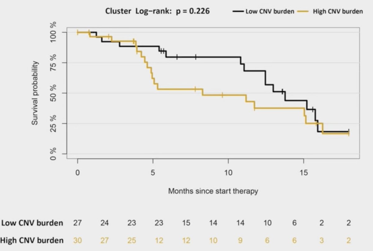 Survival analysis showed that patients with a lower copy number variant burden had a longer median survival (13.8 versus 8.3 months, log-rank p = 0.226), suggesting copy number variant burden as a potential prognostic factor in mCRPC: