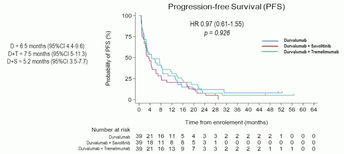 The final progression-free survival analysis showed no difference between the three groups (HR 0.97, 95% CI 0.61-1.55):