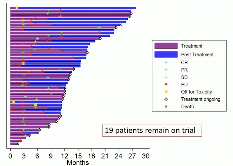 There were 16% of patients that had progressive disease as best response, and the median progression-free survival was 11.0 months (95% CI 7.1, 13.8). The median duration of response was 8.51 months (95% CI 2.66 – not evaluable), with 19% of patients remaining on trial: