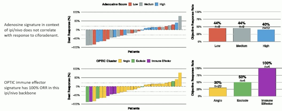 RNA signatures, including a previously identified exploratory adenosine signature,1 did not enrich for response to treatment, while the IMmotion 151/OPTIC immunotherapy [2] cluster demonstrated significantly higher objective response rates (100% in immunotherapy with n = 4 vs 30% in Angio cluster with n = 21, p = 0.032) and correlated with progression free survival:&nbsp;