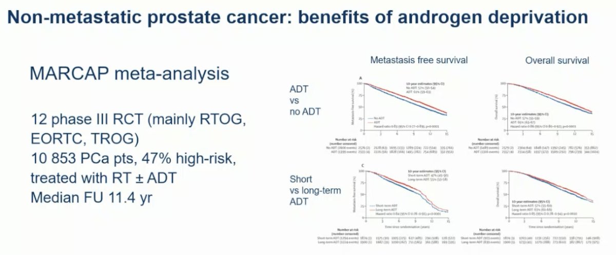 Additionally, it has been shown that treatment intensification with ADT (versus no ADT) and the use of long-term ADT (versus short-term ADT) improves metastasis-free and overall survivals in localized or locally advanced prostate cancer treated with radiotherapy.