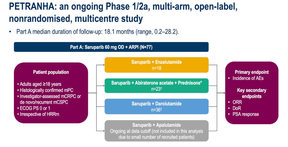 The apalutamide arm remains ongoing and was not included in the current analysis due to limited enrollment. Eligible patients were adults with histologically confirmed metastatic prostate cancer either mCRPC or de novo/recurrent mCSPC with ECOG PS 0–1 and irrespective of HRR mutation status. At a median follow-up of 18.1 months (range, 0.2–28.2), the study’s primary endpoint was the incidence of adverse events, while key secondary endpoints included objective response rate, duration of response, and PSA response.